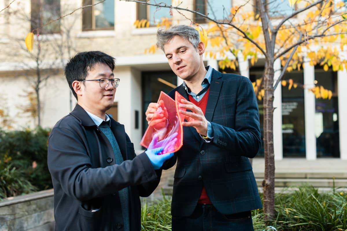 Advanced Horticultural Films