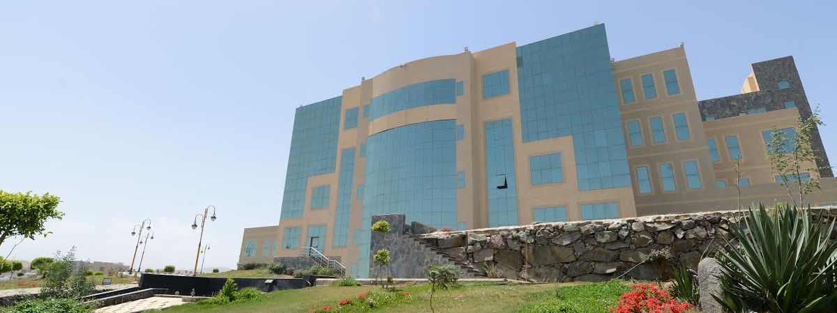 King Khalid University