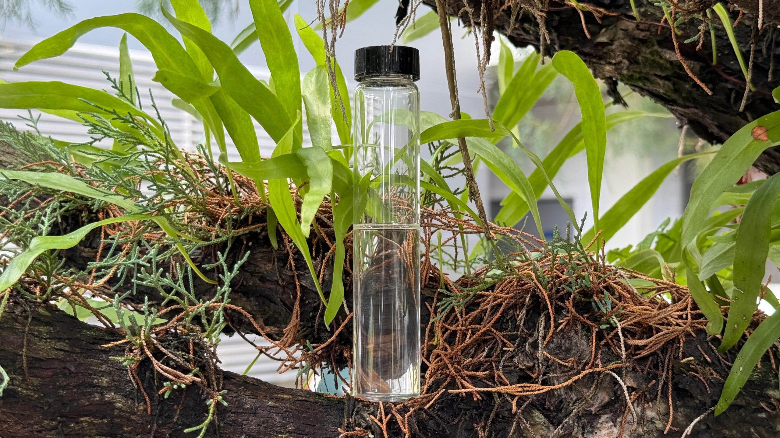 Enviromentally Friendly Leaching Solution