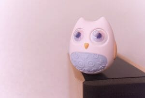 BB Owl