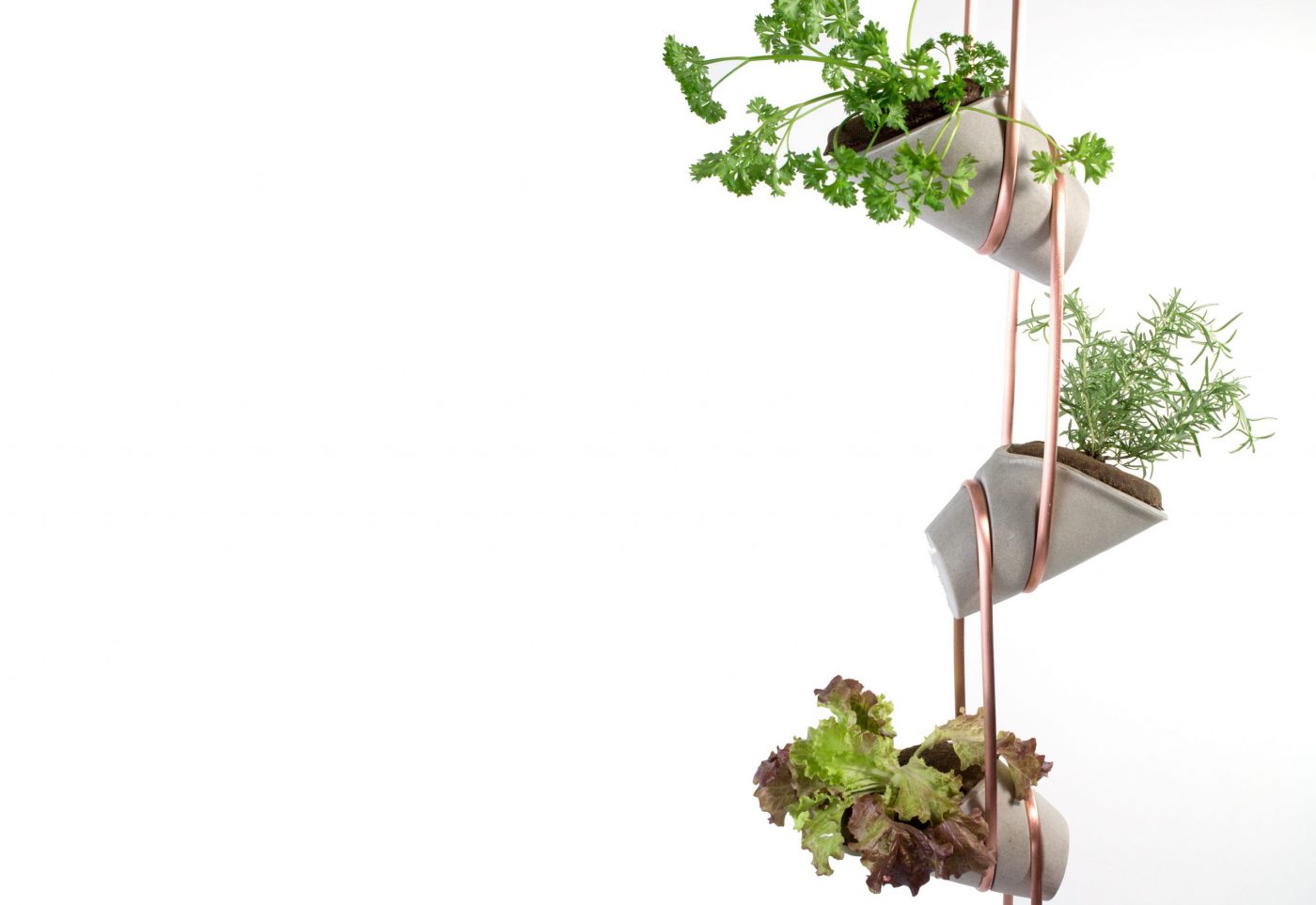 The Food Chain - Prototypes for Humanity