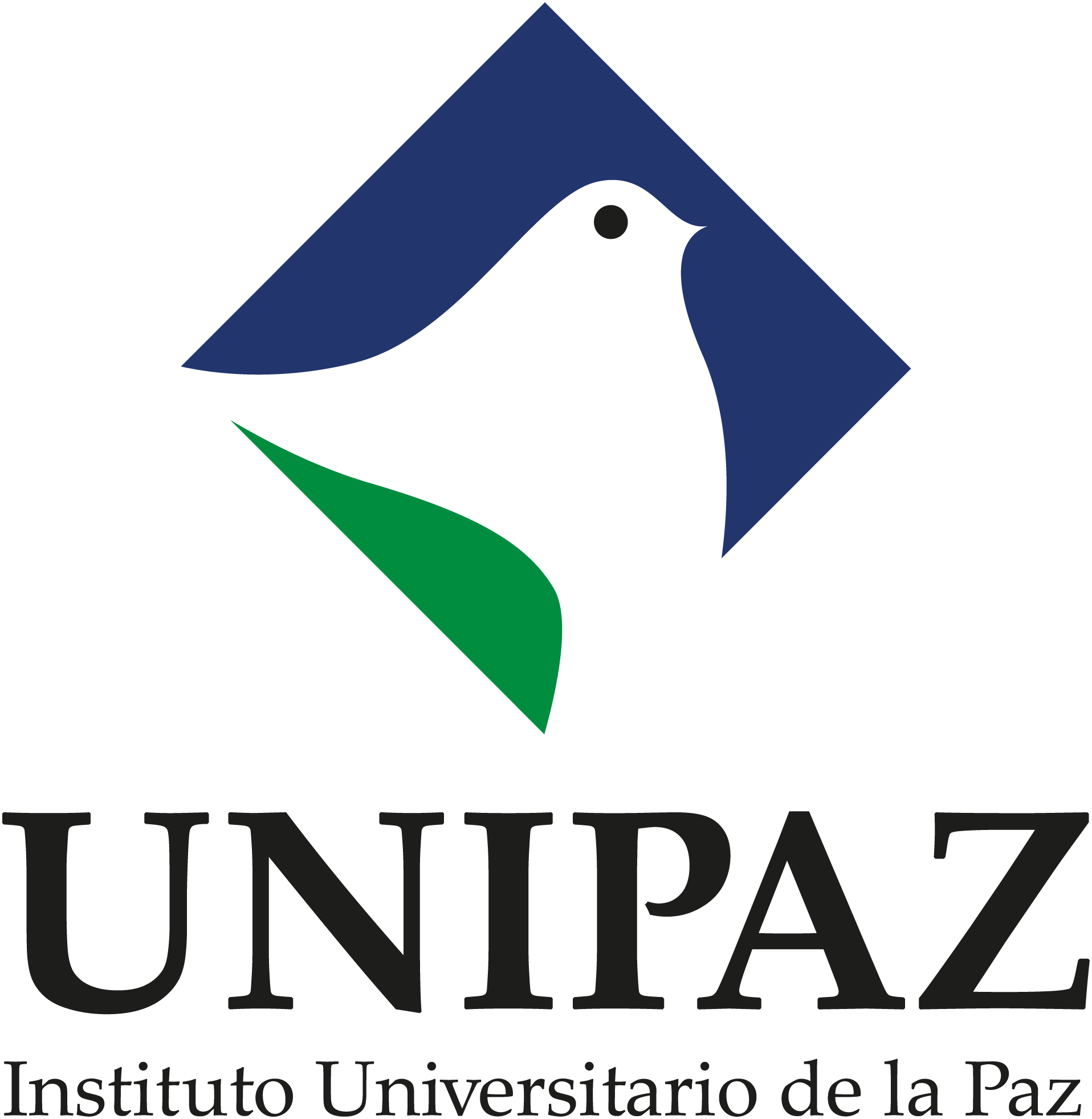 Instituto Universitario de la Paz