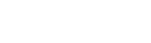 Santos Dumont Institute