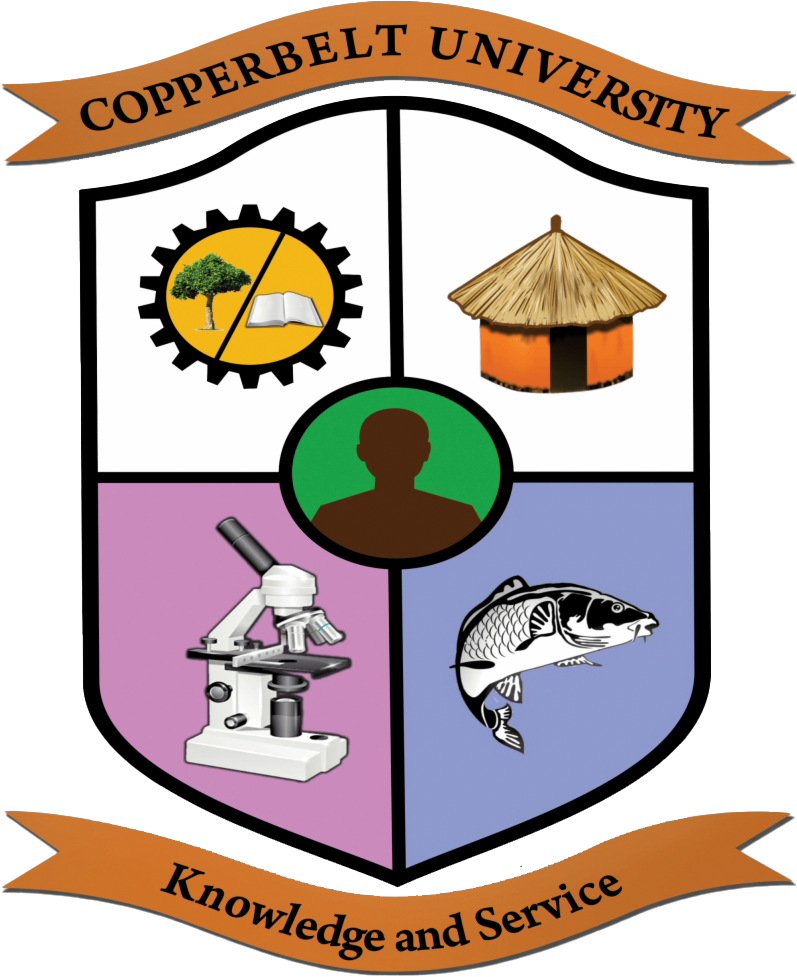 Copperbelt University