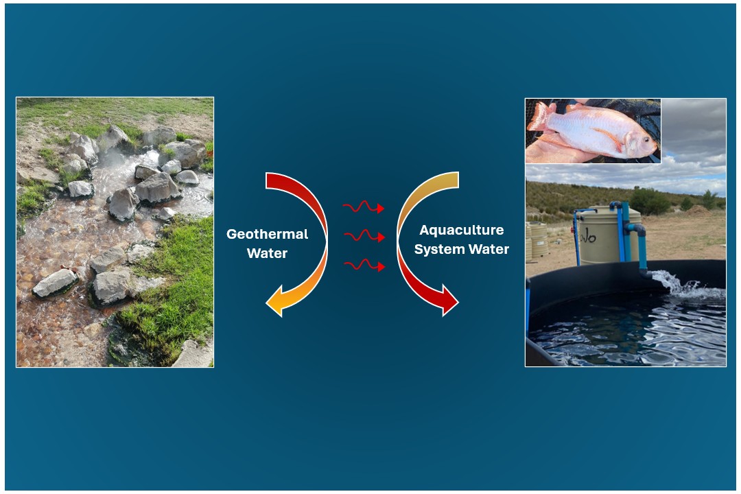 Geothermal Aquaculture Solution