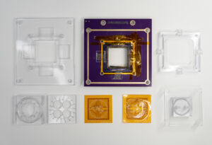 Open Organoid Interface